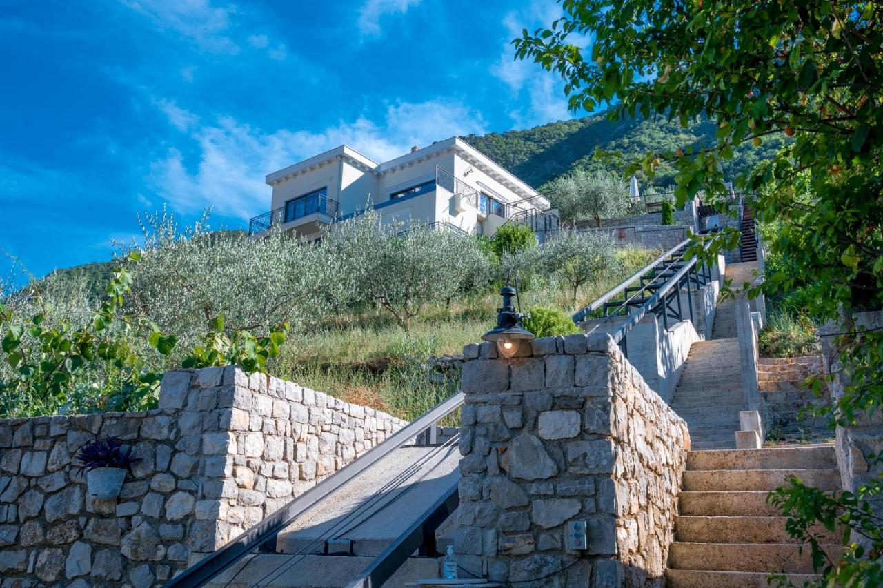 Stoliva Residence With Infinity Pool 科托尔 外观 照片